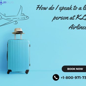 How do I speak to a live person at KLM Airlines
