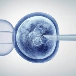 Human Embryonic Stem Cells Market