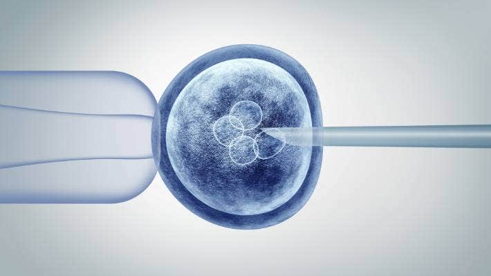 Human Embryonic Stem Cells Market