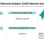 Liquid-Silicone-Rubber-Market-Snapshot