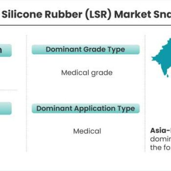 Liquid-Silicone-Rubber-Market-Snapshot