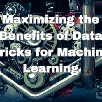 Maximizing the Benefits of Data Bricks for Machine Learning