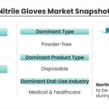 Nitrile-Gloves-Market-Snapshot
