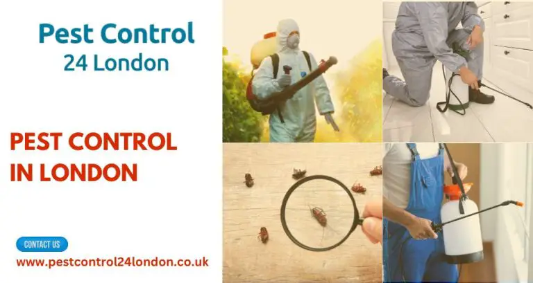 Pest Control in London (1)