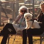 Why Owning a Pet is the Secret to Living Longer: A Look at the Health Benefits for Elderly Individuals