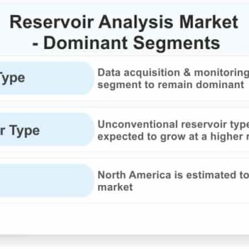 Reservoir-Analysis-Market-Dominant-Segments