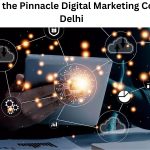 Uncovering the Pinnacle Digital Marketing Company in Delhi