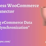 WordPress WooCommerce SAP Connector - Boosting eCommerce Data through Synchronization