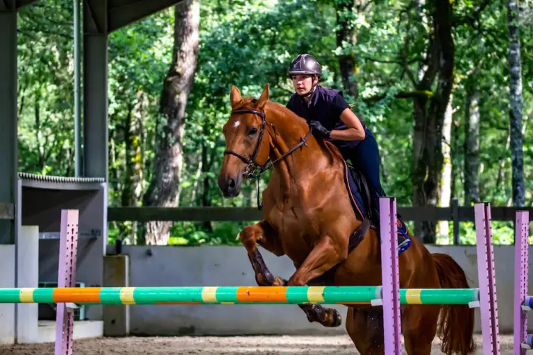 A jockey crossing an obstacle while riding a horse