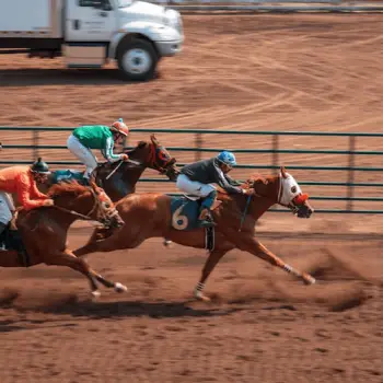 horse-jockeys