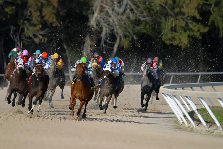 Jockeys racing on a horse racing track