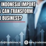 indonesia import
