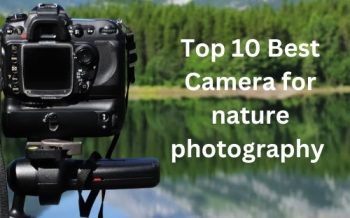 Best Camera for nature photography