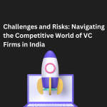 Challenges and Risks Navigating the Competitive World of VC Firms in India