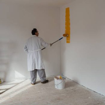 Colouring Your World The Quest for the Best Residential Painters in Victoria BC