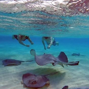 Pro Tips for Snorkeling and Water Sports in Grand Cayman