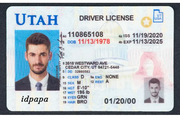Idpapa id card 3