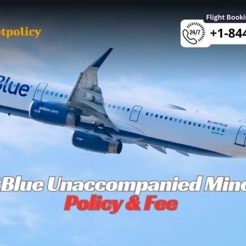 JetBlue Unaccompanied Minor (1)