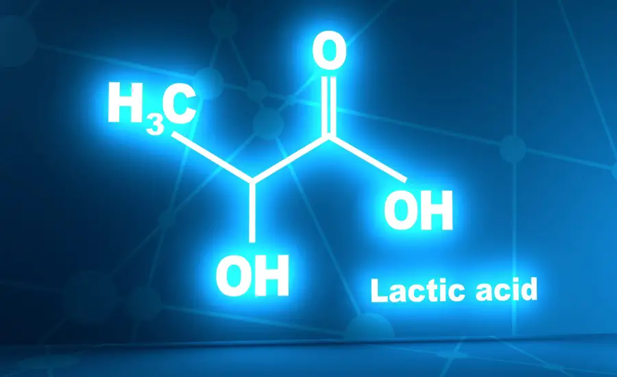 Lactic Acid Market 11