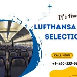 Lufthansa Seat Selection