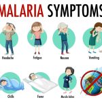 Malaria Disease 05