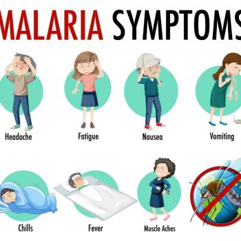 Malaria Disease 05