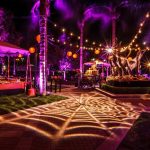 Orchestrate the Spookiest Halloween Party Miami with Ease