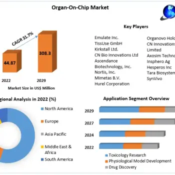 Organ-On-Chip-Marke