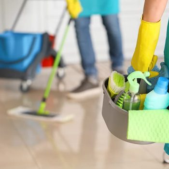 Professional Cleaning Services