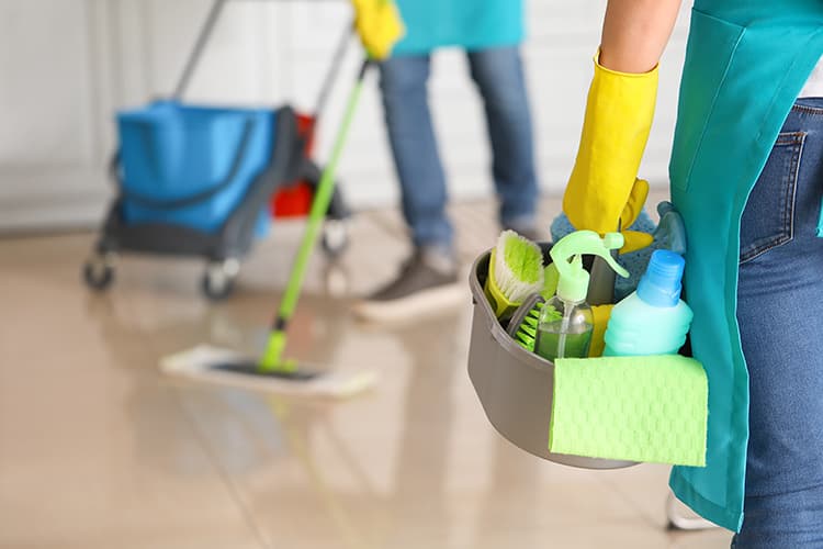 Professional Cleaning Services