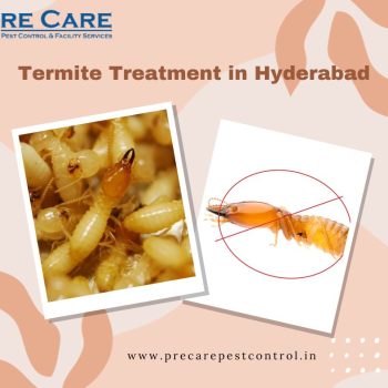 Termite Treatment in Hyderabad  Pre Care Pest Control