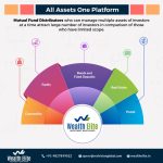 Top Mutual Fund Software in India_wealth elite