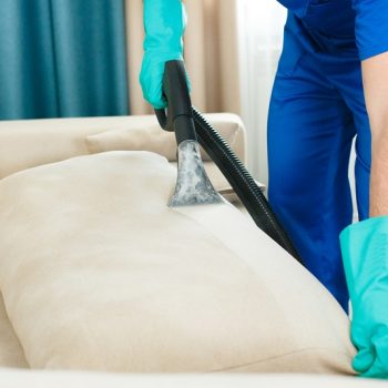 Upholstery Cleaning in Milton