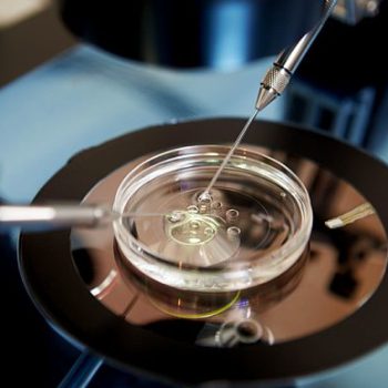 ivf-fees-in-india