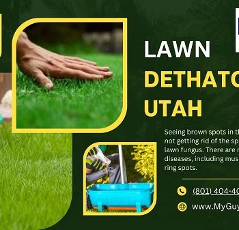 lawn dethatching Utah