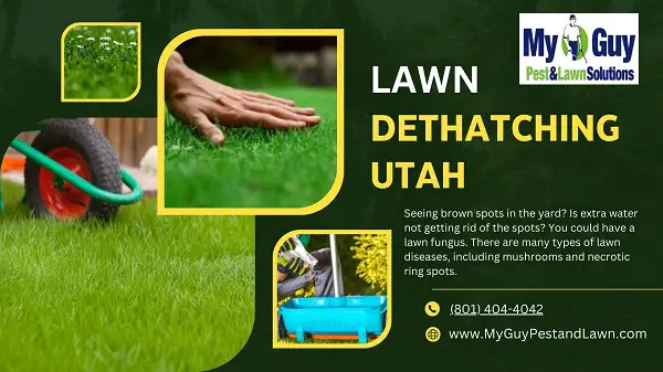 lawn dethatching Utah