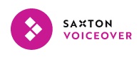 logo voice