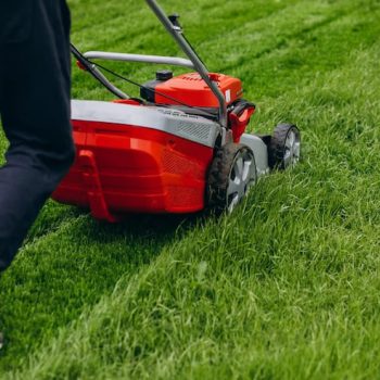 man-cutting-grass-with-lawn-mover-back-yard_1303-22795-min