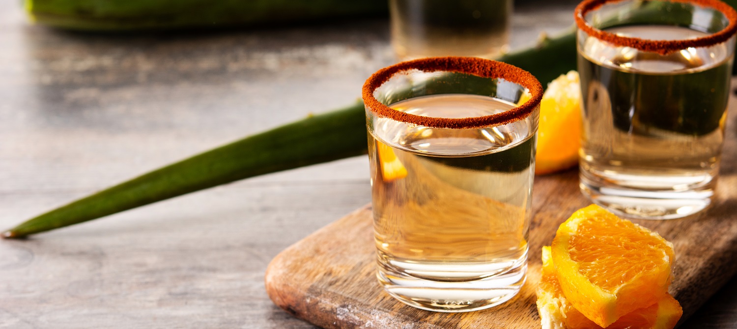 mezcal-mexican-drink-with-orange-slices-worm-salt