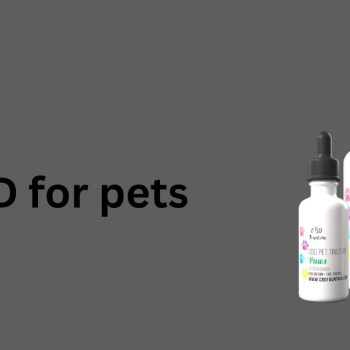 CBD for pets (1)