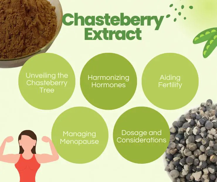 Chasteberry-Extract