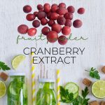 Cranberry-Extract