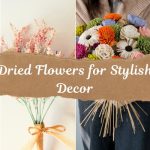 Dried Flowers for Stylish Decor (1)
