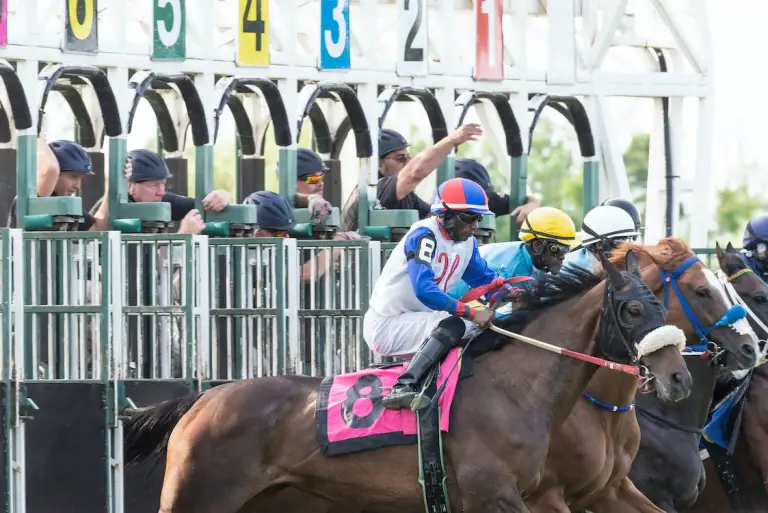 Several racers gearing up for a horse race.