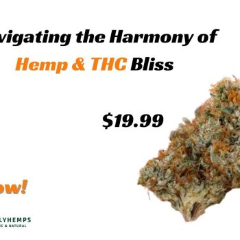 Navigating the Harmony of Hemp & THC Bliss