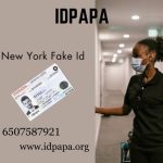 New York Fake Id (1)