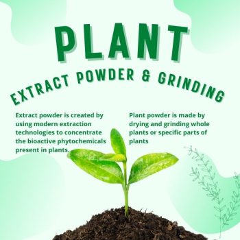 Plant-extract-powder
