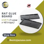 Rat_Glue_Board_BentzJazUSA