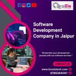 Software Development Company in Jaipur