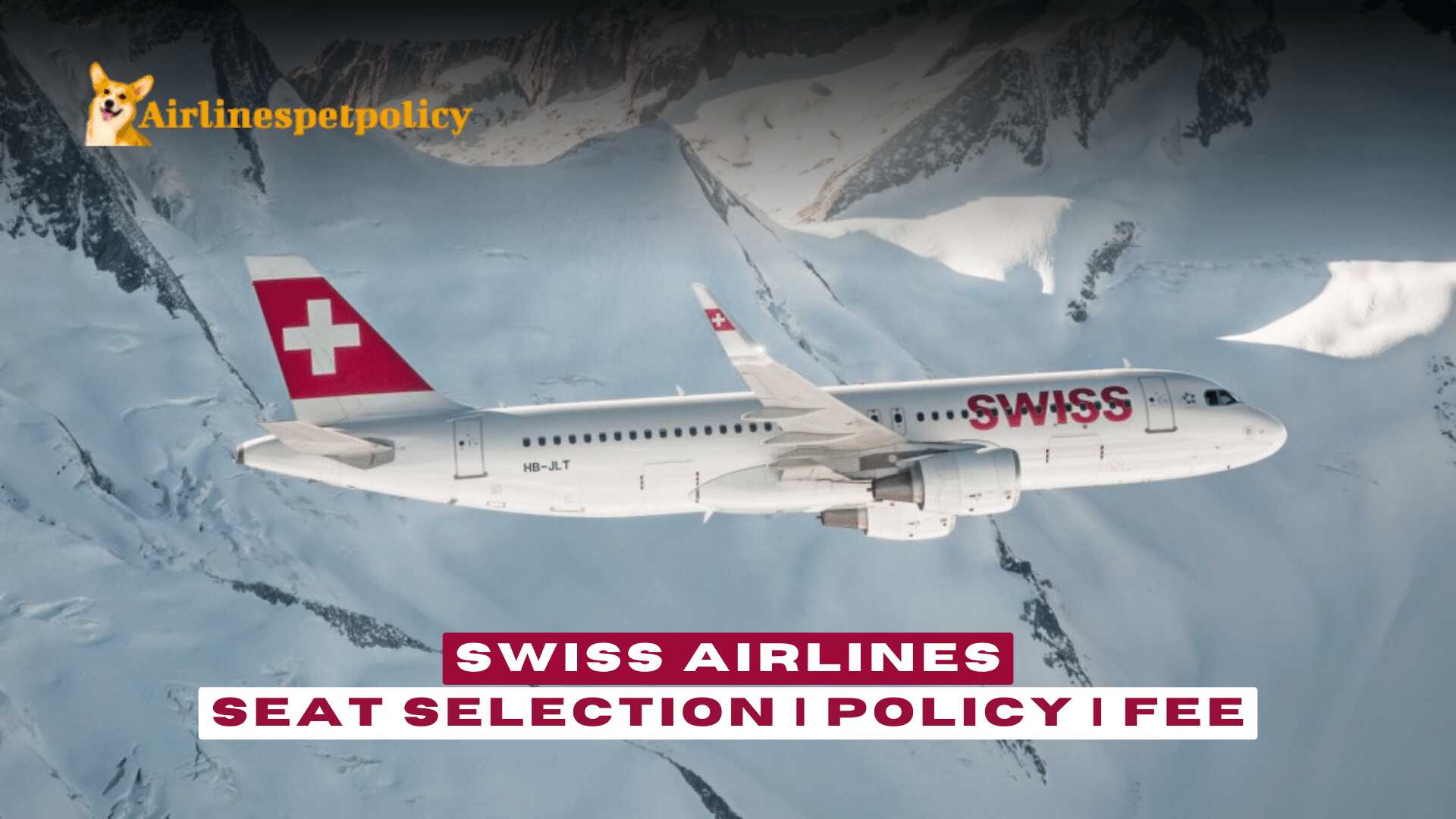 Swiss Airlines Seat Selection